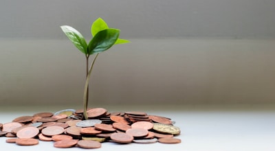 Small Business Grants